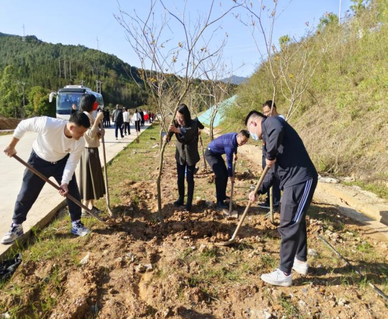 圖片15.png 圖片15.png